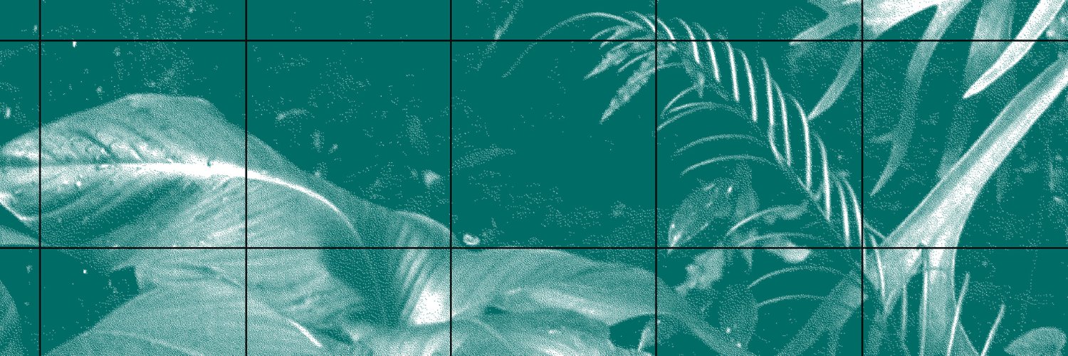 ELit_observer's profile banner image
