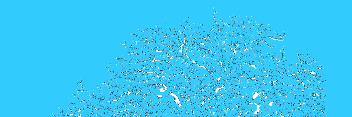 sierra🌈🏄🏾‍♀️ banner