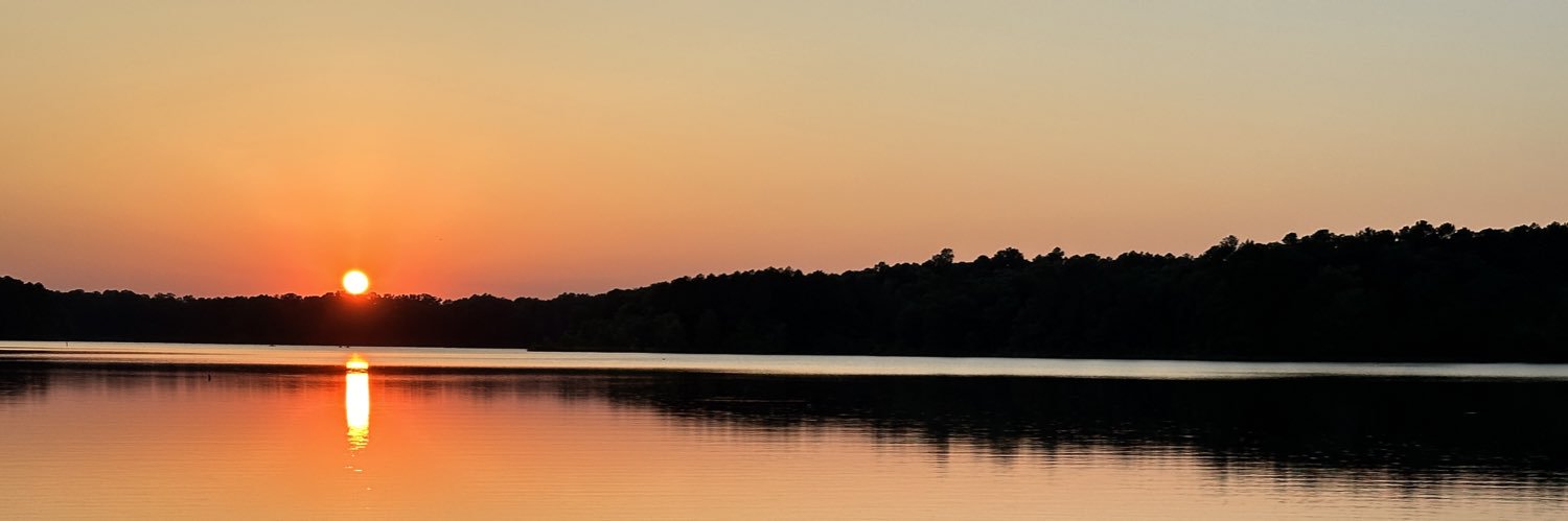 michael stewart banner