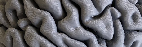 changsbrain Profile Banner