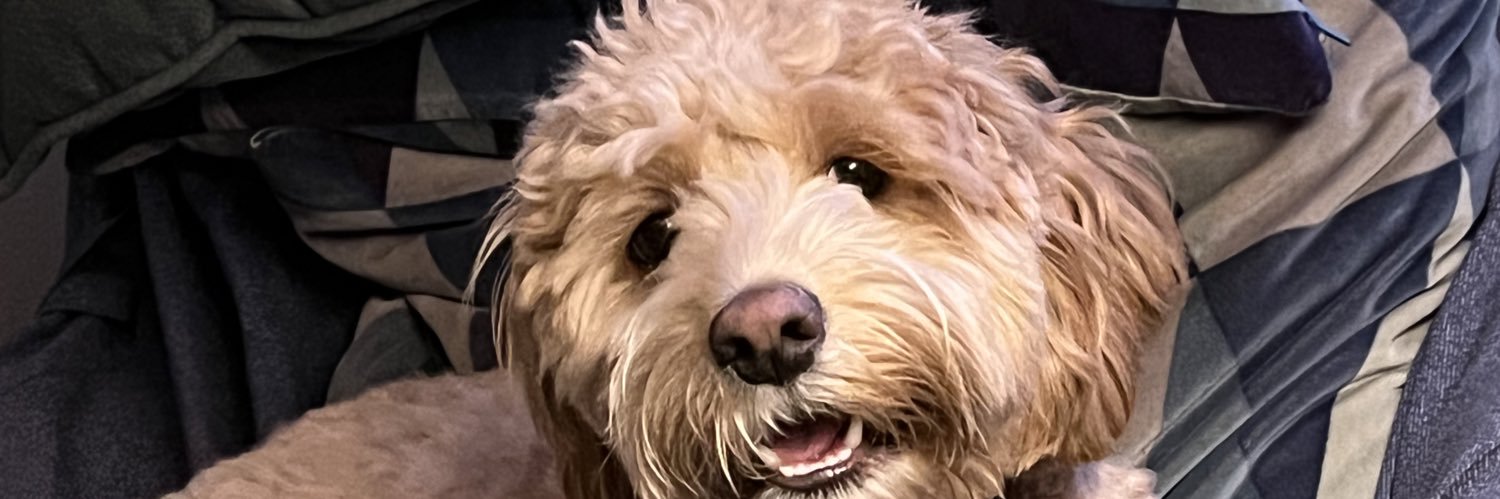 rmille2309's profile banner image