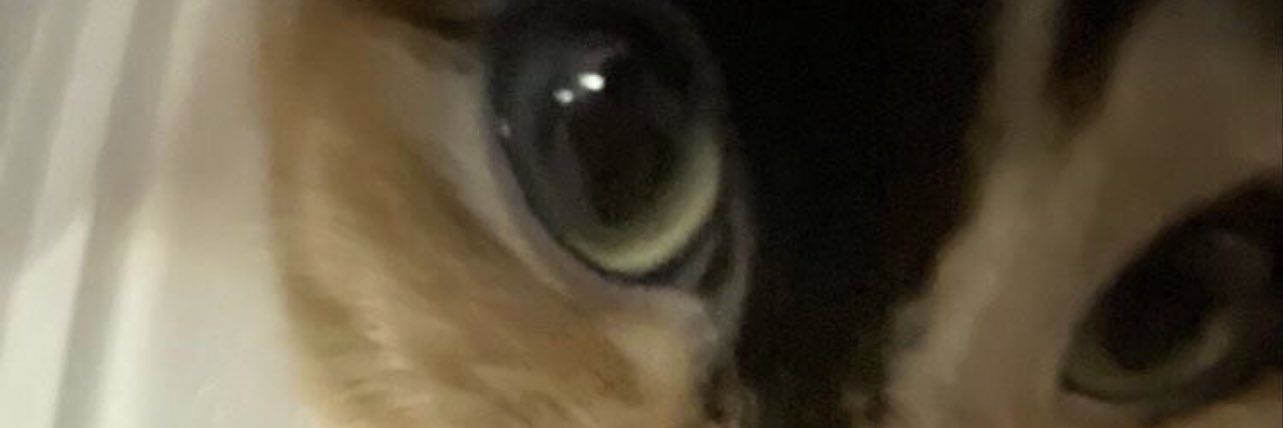 sousnic's profile banner image