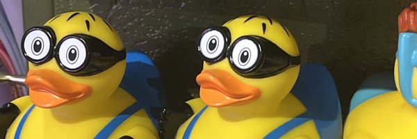 thelemonpress Profile Banner