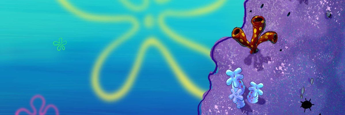 Spongee🧽 banner