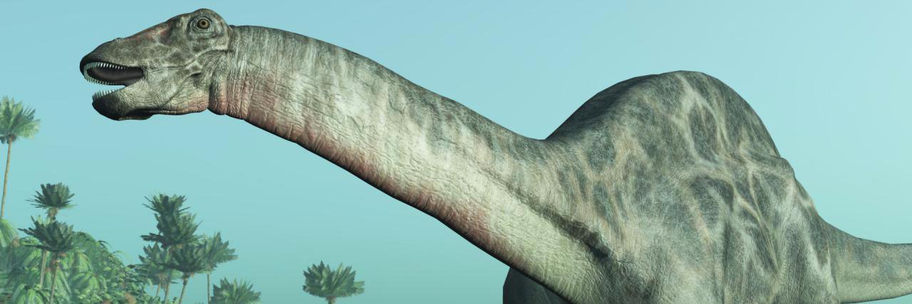 dipydocus's profile banner image