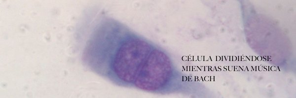 IgeaManuel Profile Banner