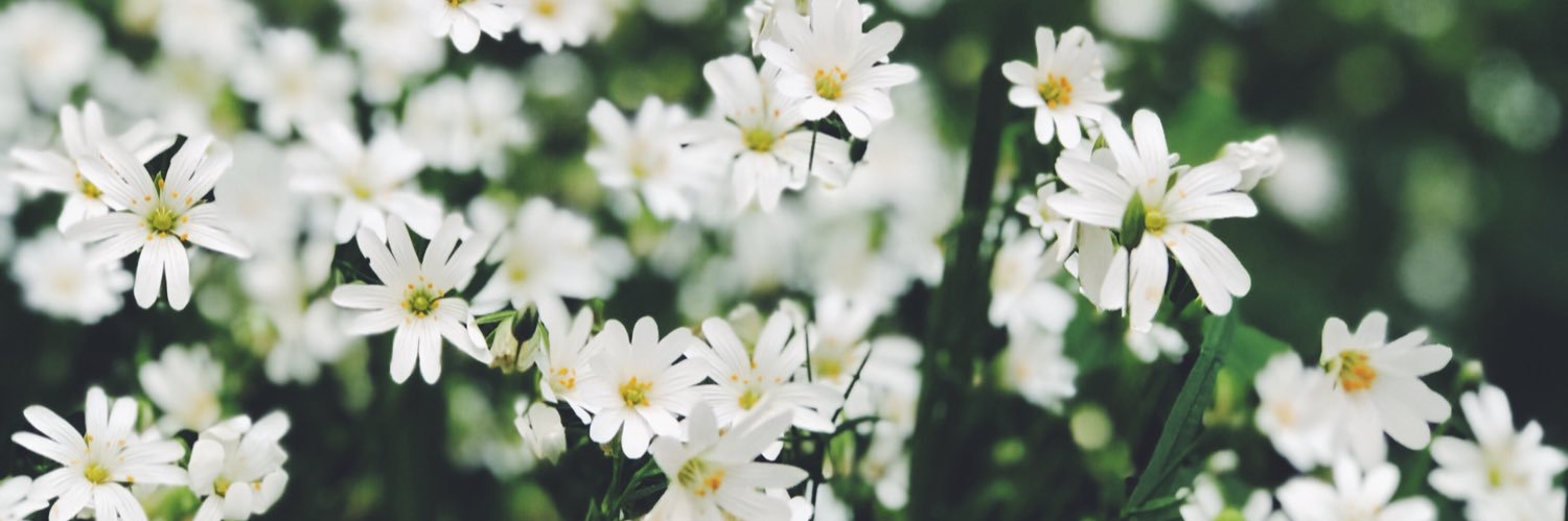 MorganeAmandine's profile banner image