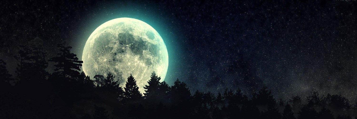 StSchmock's profile banner image