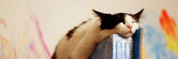 Barbara was here banner