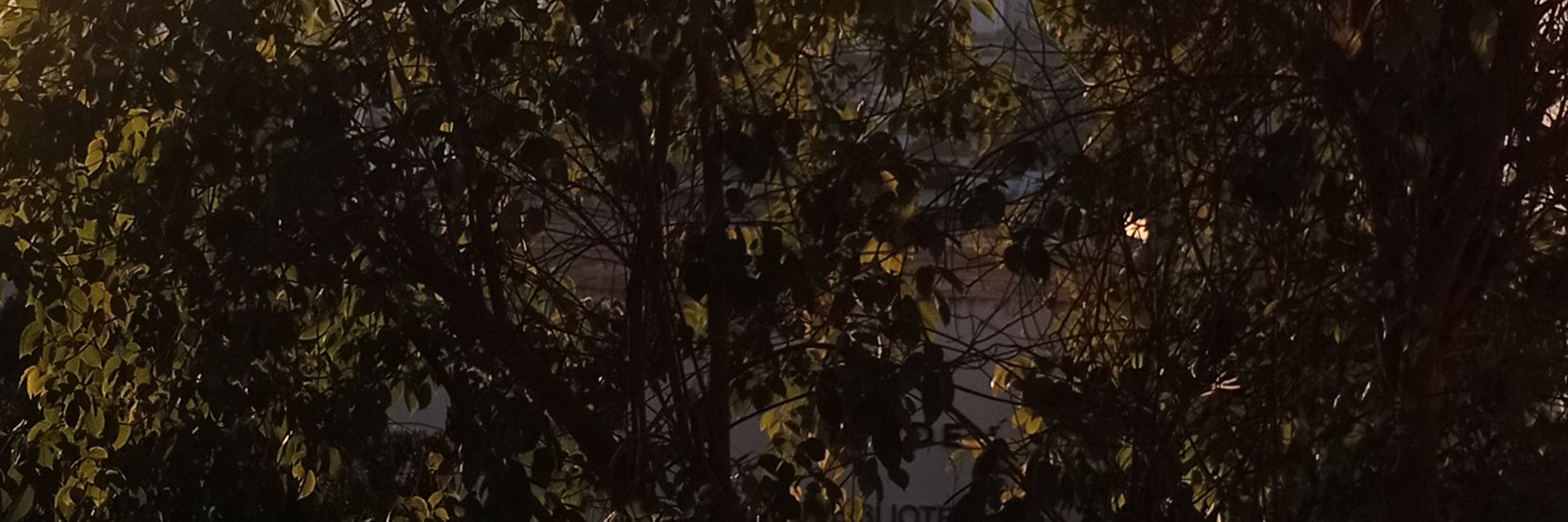 ShaiderQualquer's profile banner image
