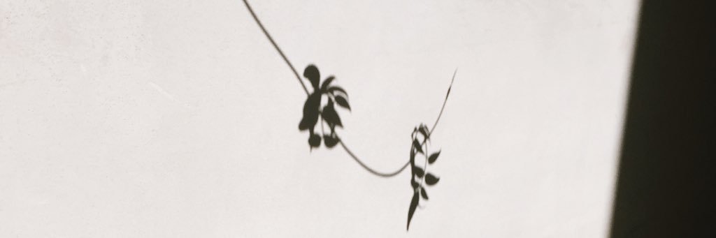 carysmadeleine's profile banner image