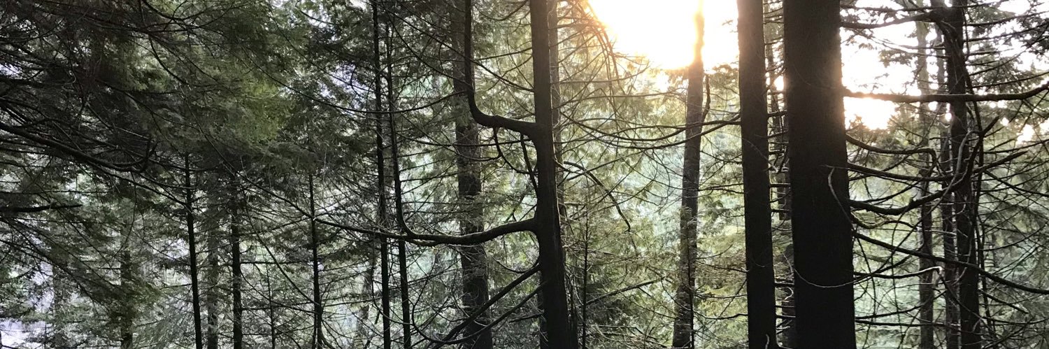 marcochifla's profile banner image