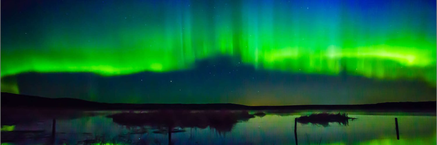 Veronica McCauley banner