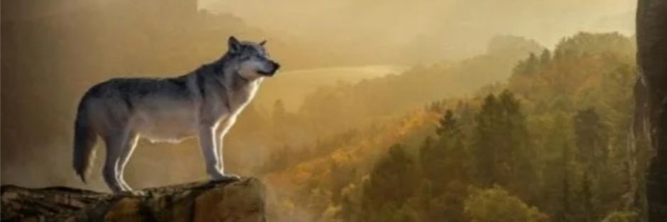 asheru_23 banner