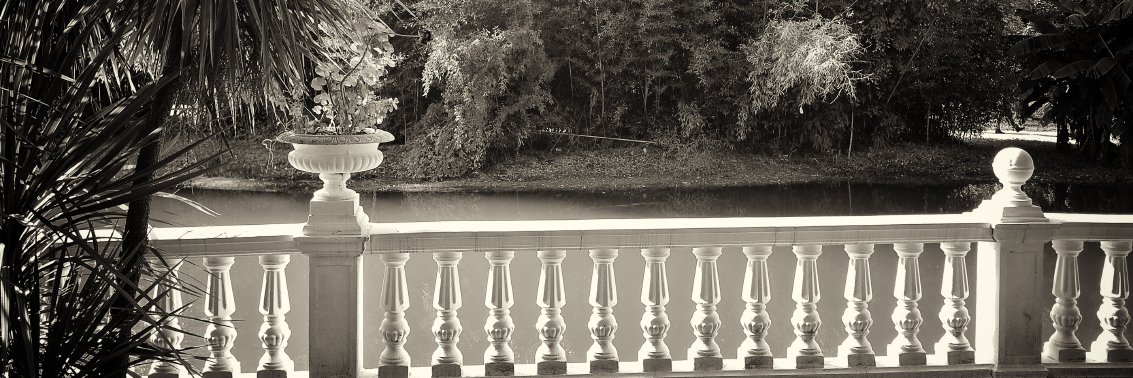 Andrei Imeretin banner