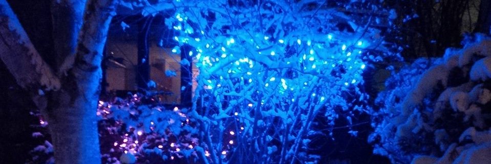 ChamplainPark's profile banner image