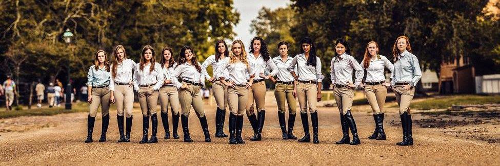 WMEquestrian's profile banner image