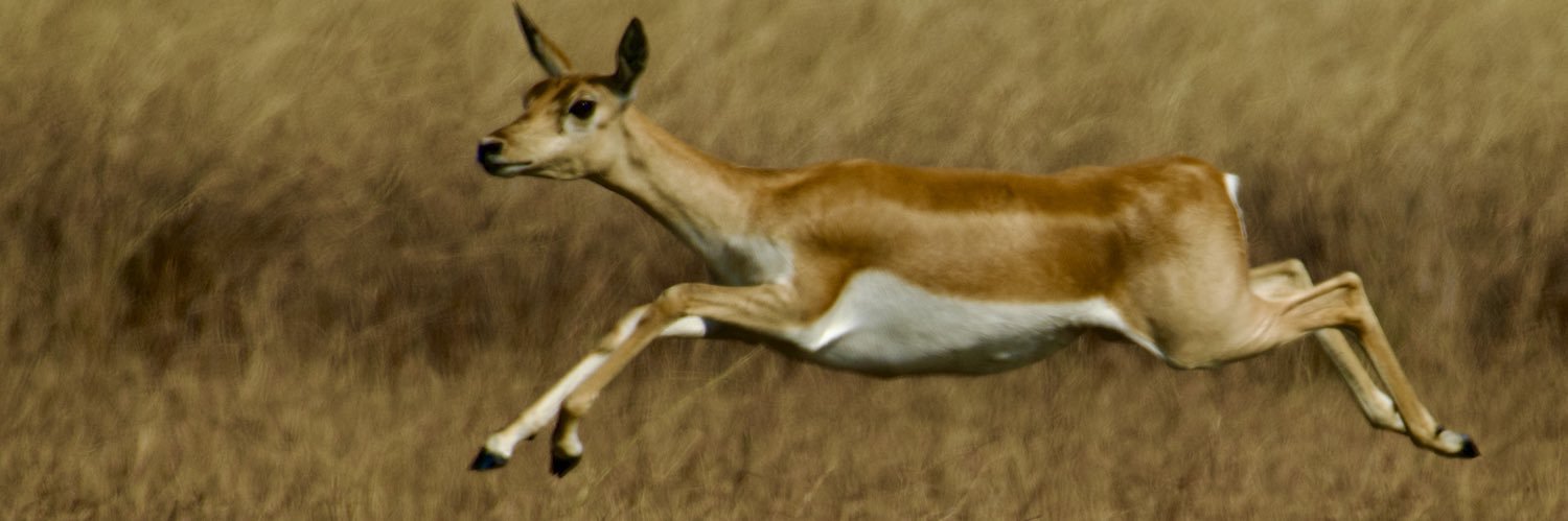 csdhara's profile banner image