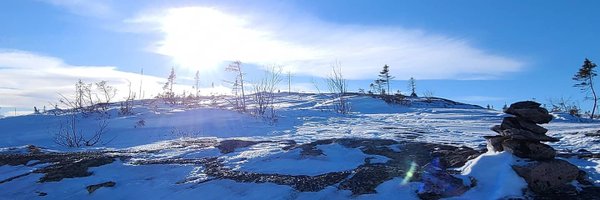 LittleProfit_ Profile Banner