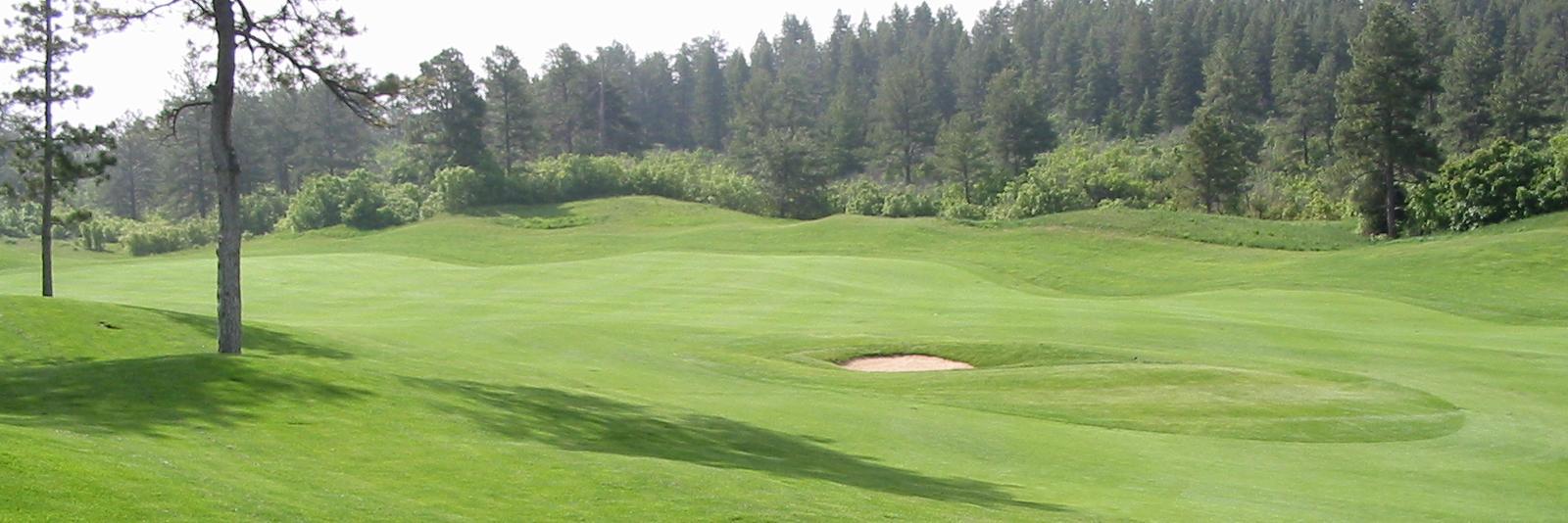 Richlawn's profile banner image