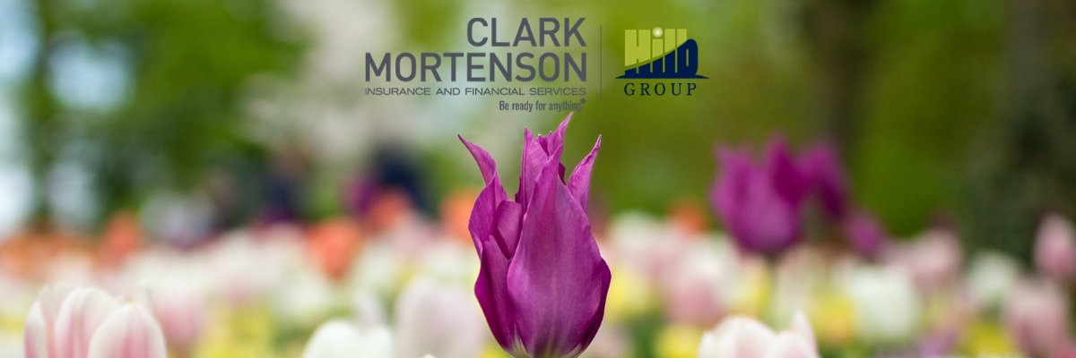 ClarkMortenson's profile banner image