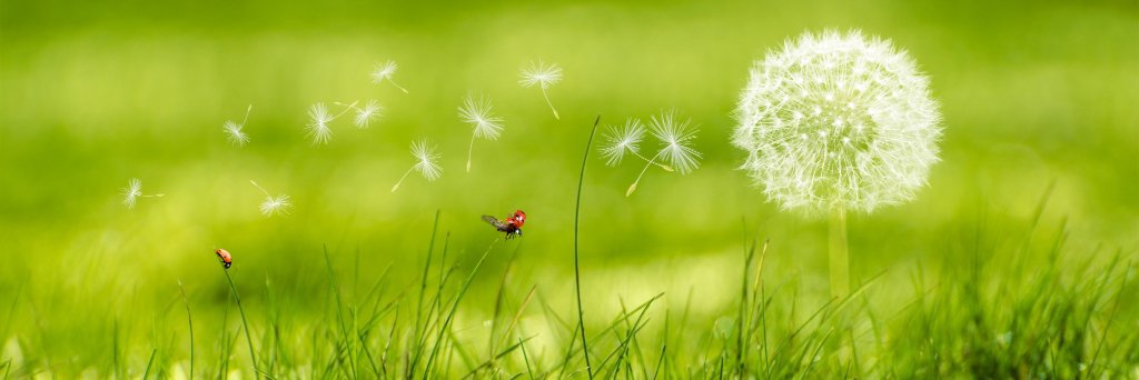 Mrs. Kravitz 🇺🇸 banner