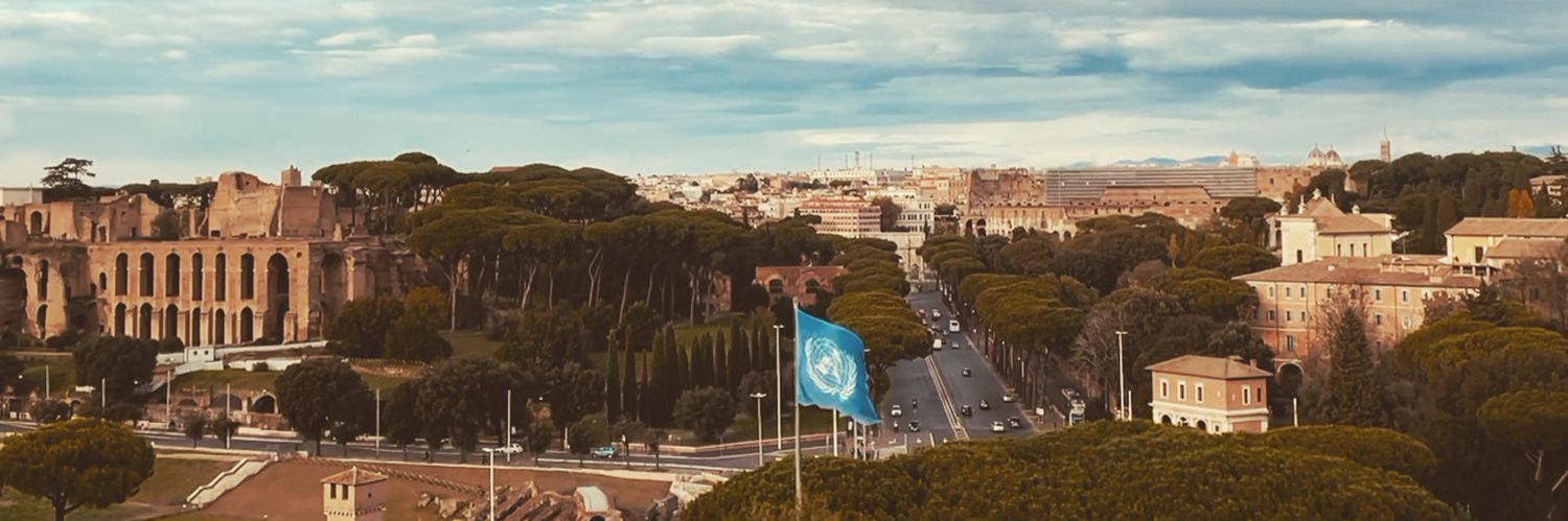 SofiaDiarra's profile banner image