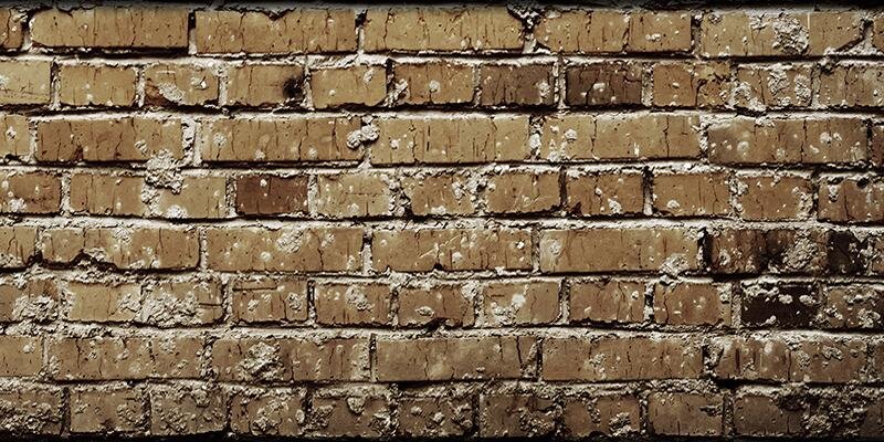 SNLWalsall's profile banner image