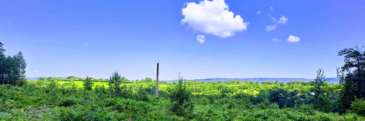 Denis Crison 🇺🇦🇮🇱🇪🇺🕊🕉🙏🏼 📷🌍🌱🎶🧘‍♂️ banner