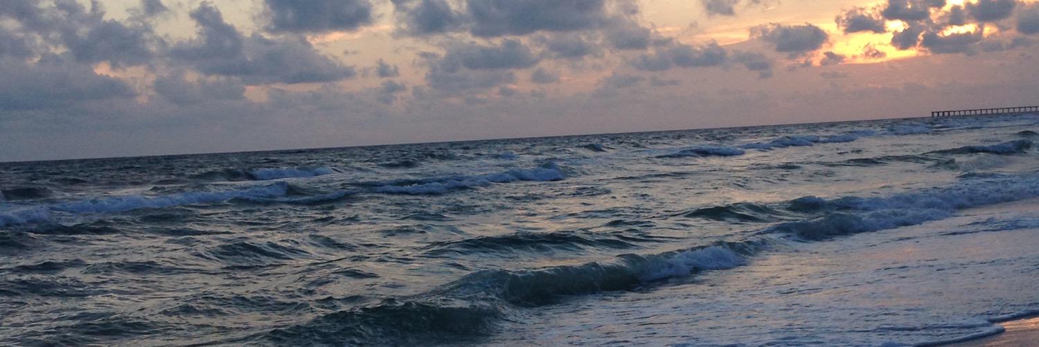 allisonW_22's profile banner image