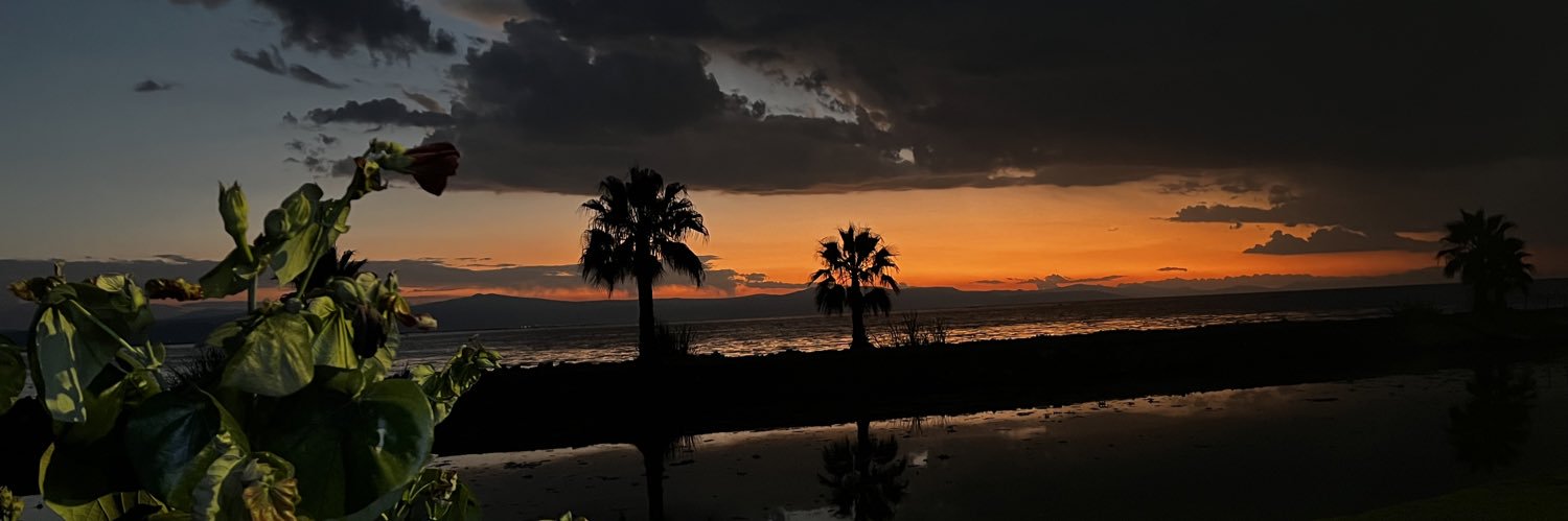 gassalgado's profile banner image