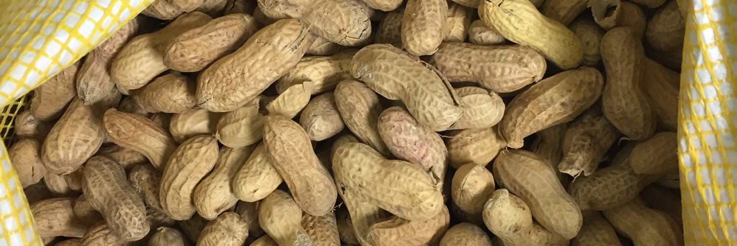 PeanutDepot's profile banner image