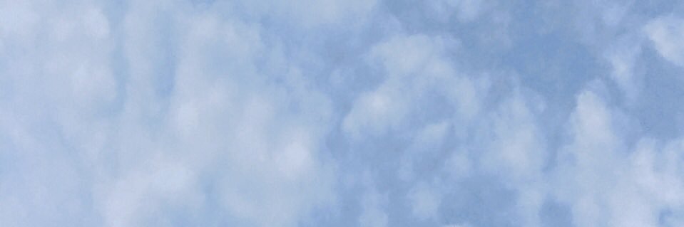 pssmelody's profile banner image