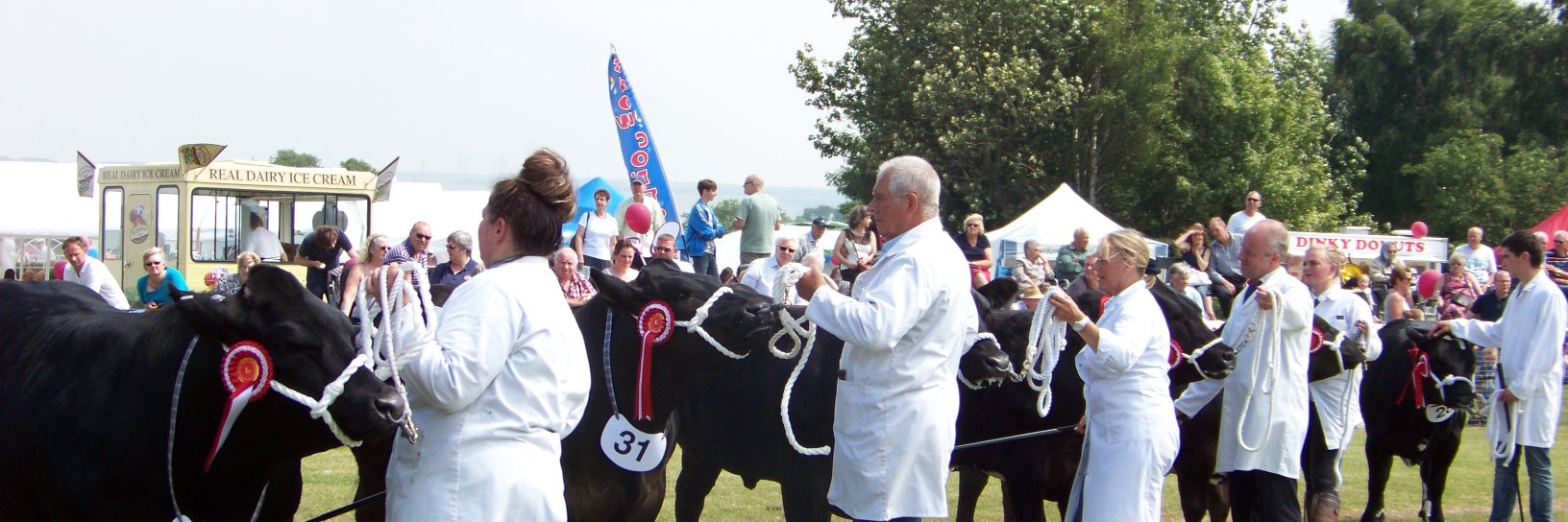 Winterton Show banner