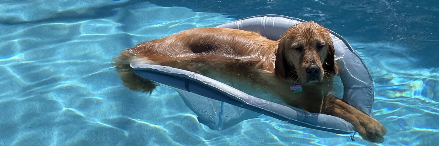 Sam Cerio Wood banner