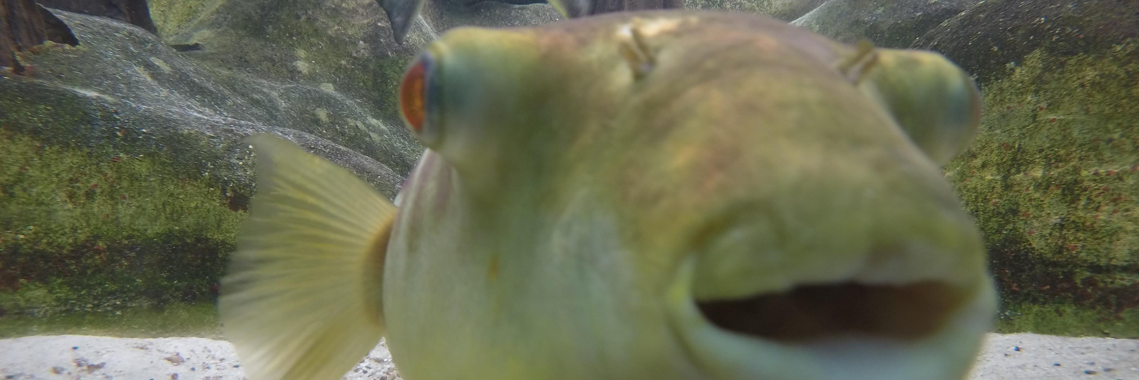 RogerBrowntown's profile banner image