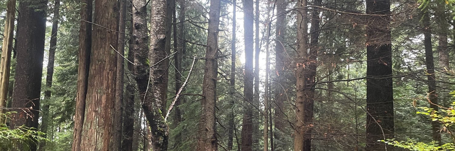 lorihuston_'s profile banner image