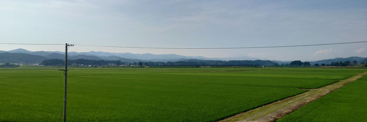 Csachi's profile banner image