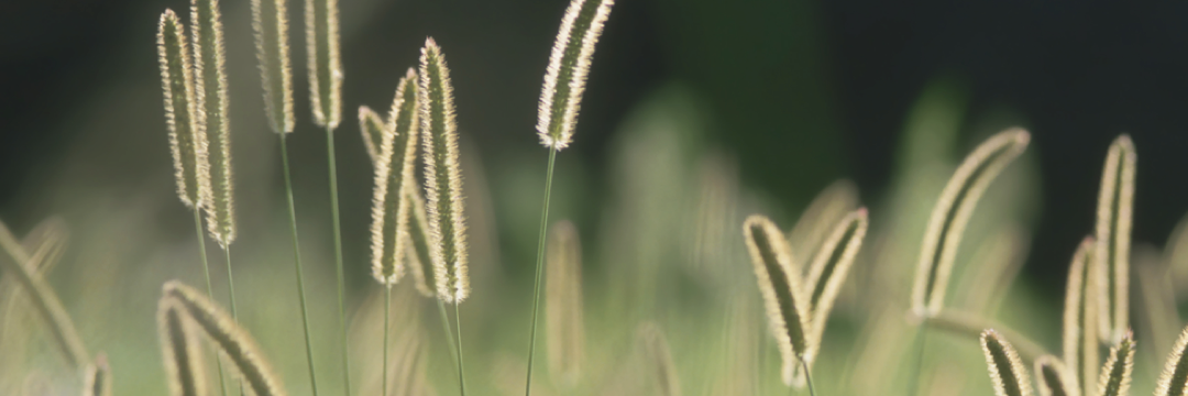 ConchiRiAm's profile banner image