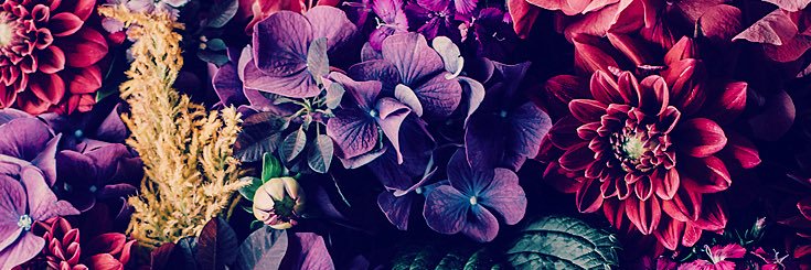 Cuh8_'s profile banner image
