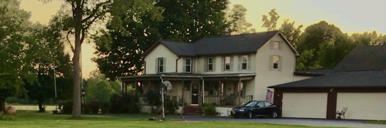 Ron Abrams banner