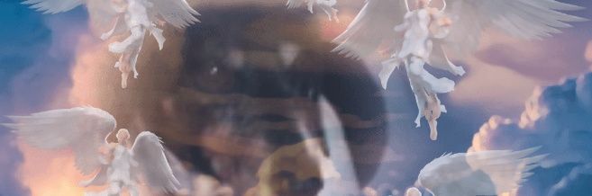 CandaceS44's profile banner image