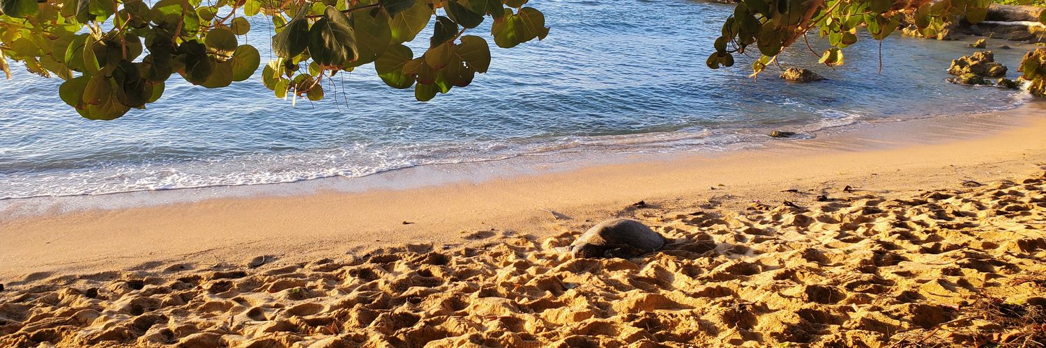 Christina Morgan banner