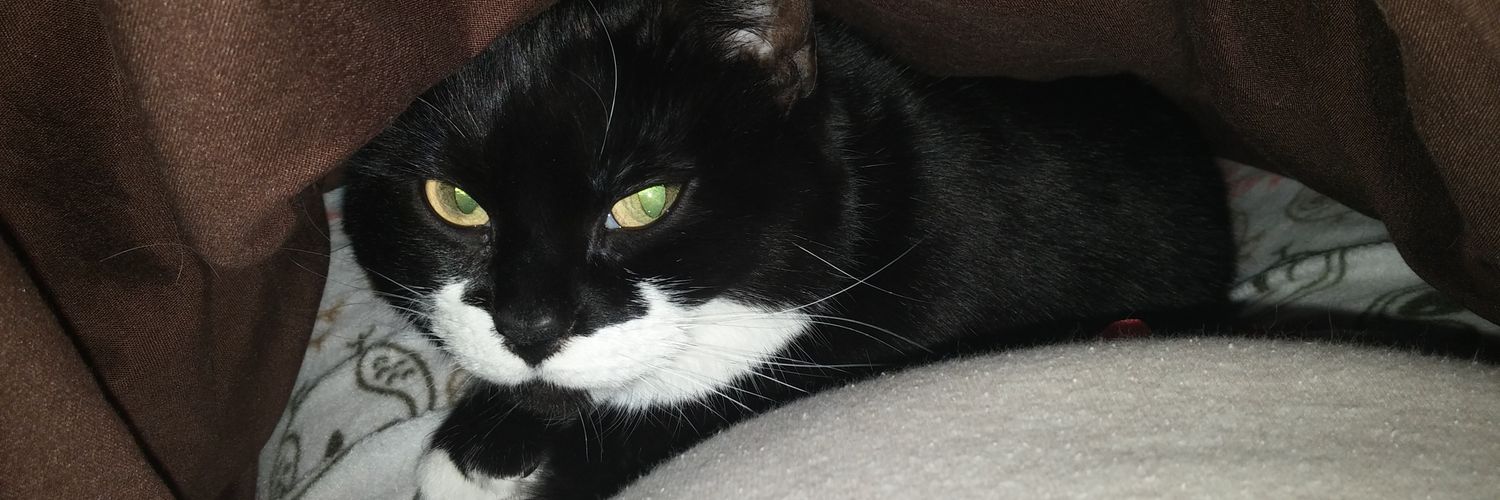 TabithaSwerds's profile banner image