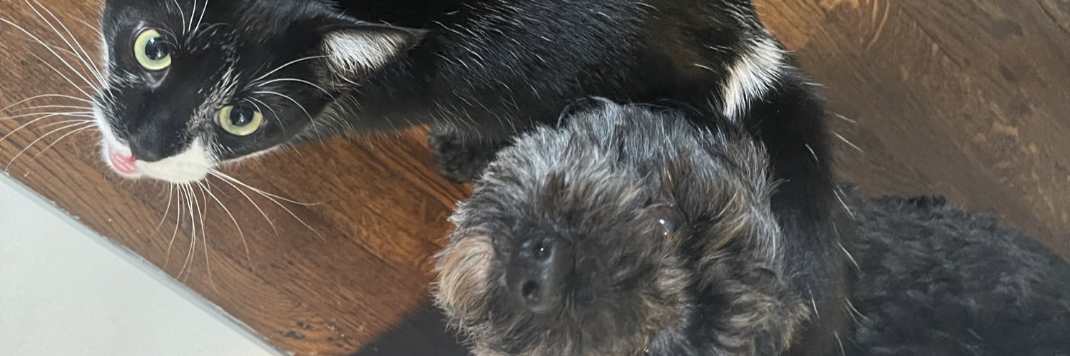 xBrookexo's profile banner image
