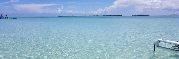 CJintheKeys Profile Banner