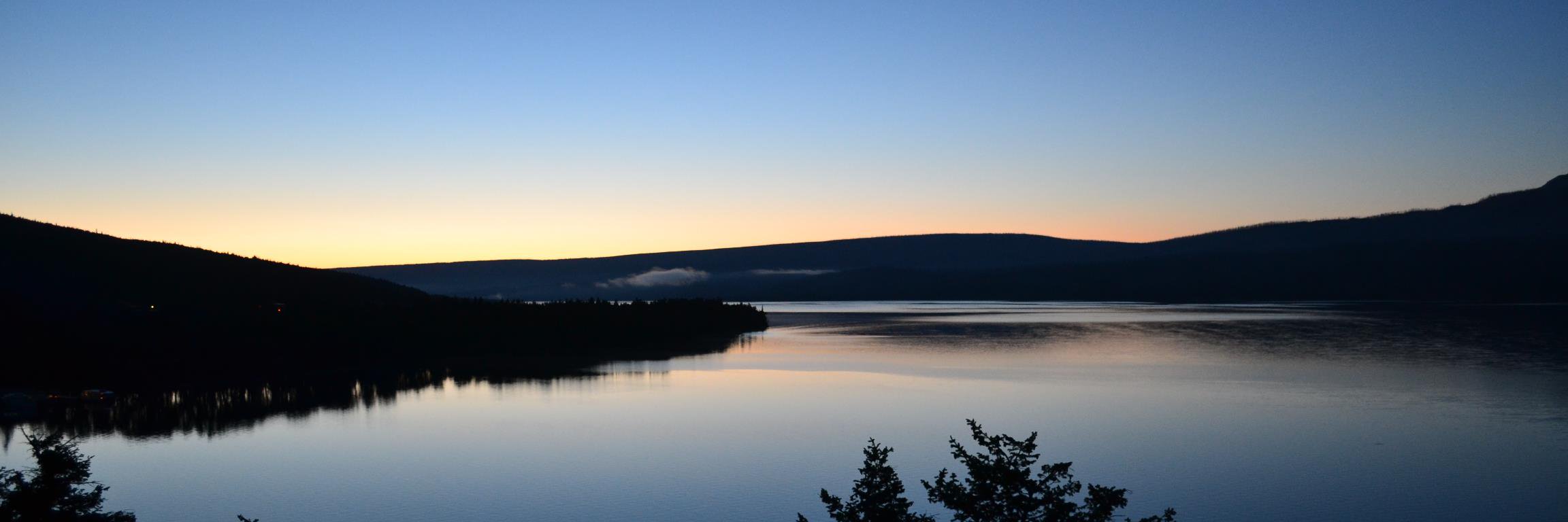 David Delaney banner