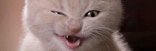 AngelaThornto19's profile banner image