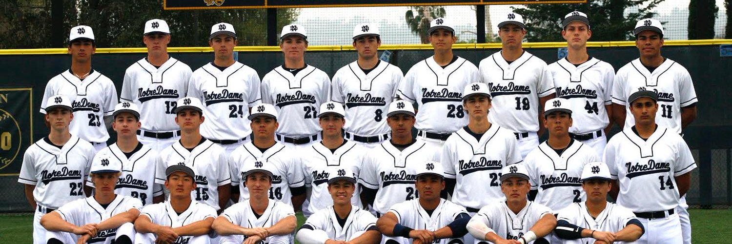 NDHS BASEBALL Profile Banner