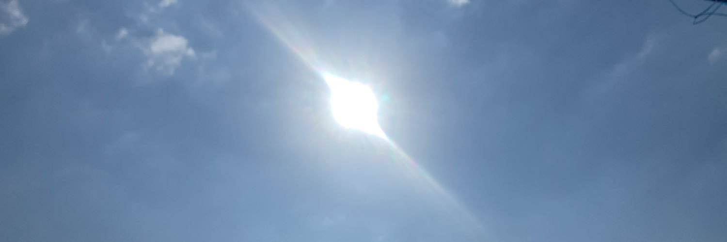 amelia lalanda banner
